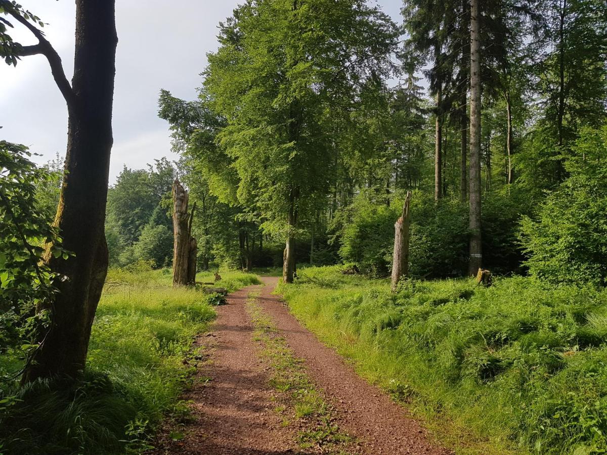 Ferienwohnungen.Ruhla Esterno foto