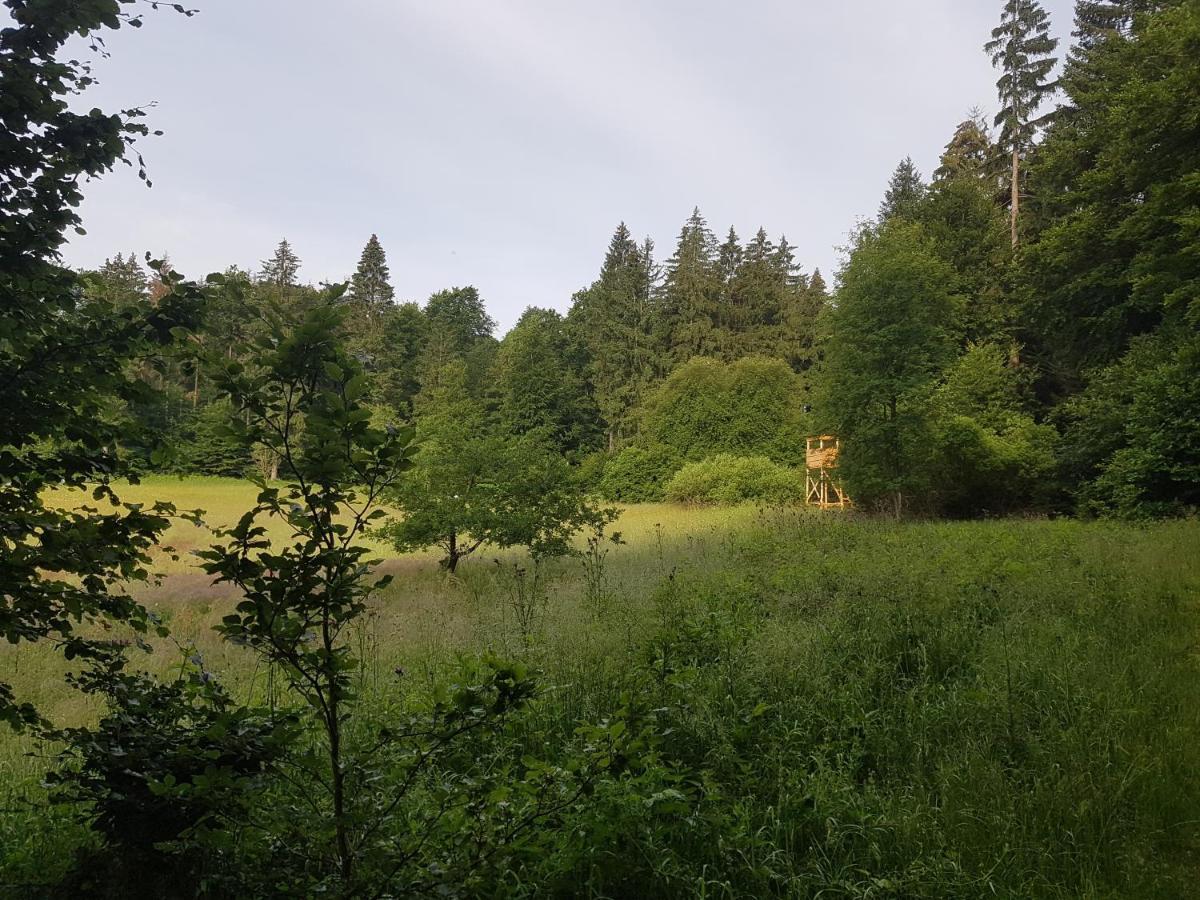 Ferienwohnungen.Ruhla Esterno foto