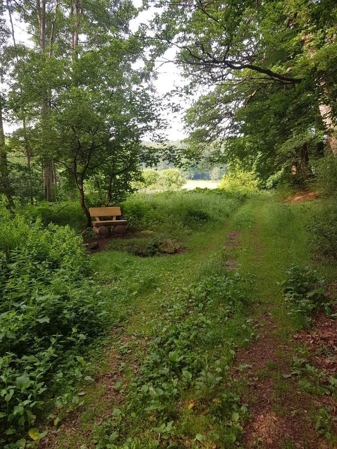 Ferienwohnungen.Ruhla Esterno foto