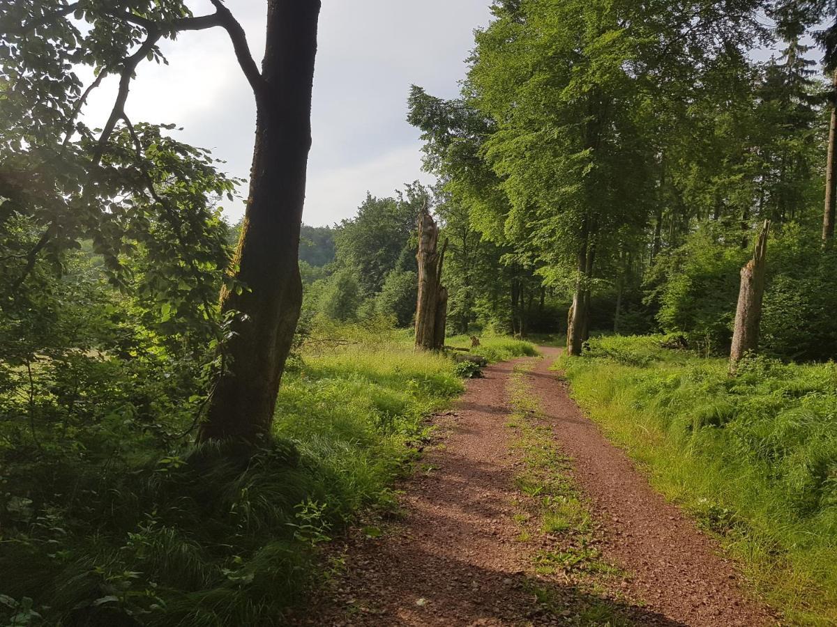 Ferienwohnungen.Ruhla Esterno foto